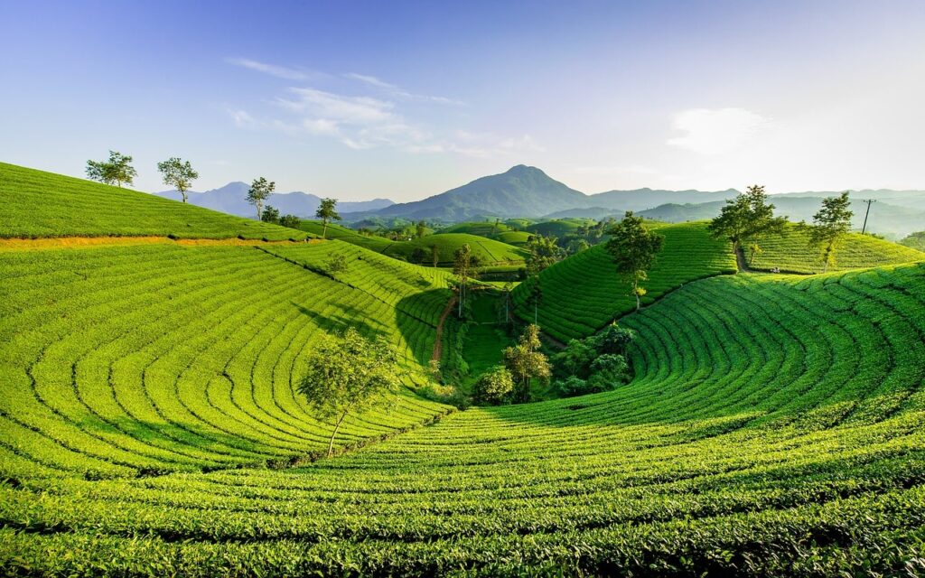  Nilgiri Hills mountains in India